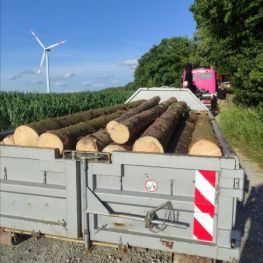 Wi räumen so richtig auf (2).jpg