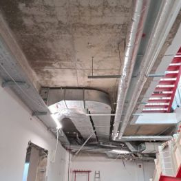 Fachgerechte Demontage (6).jpg