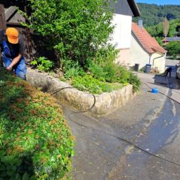 Gartenpflege und Unkrautentfernung (5).JPG