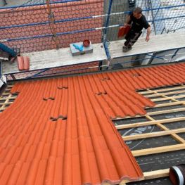 Neue Bedachung notwendig (2).jpeg