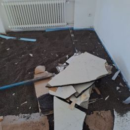 Entkernung vom Profi (4).JPG